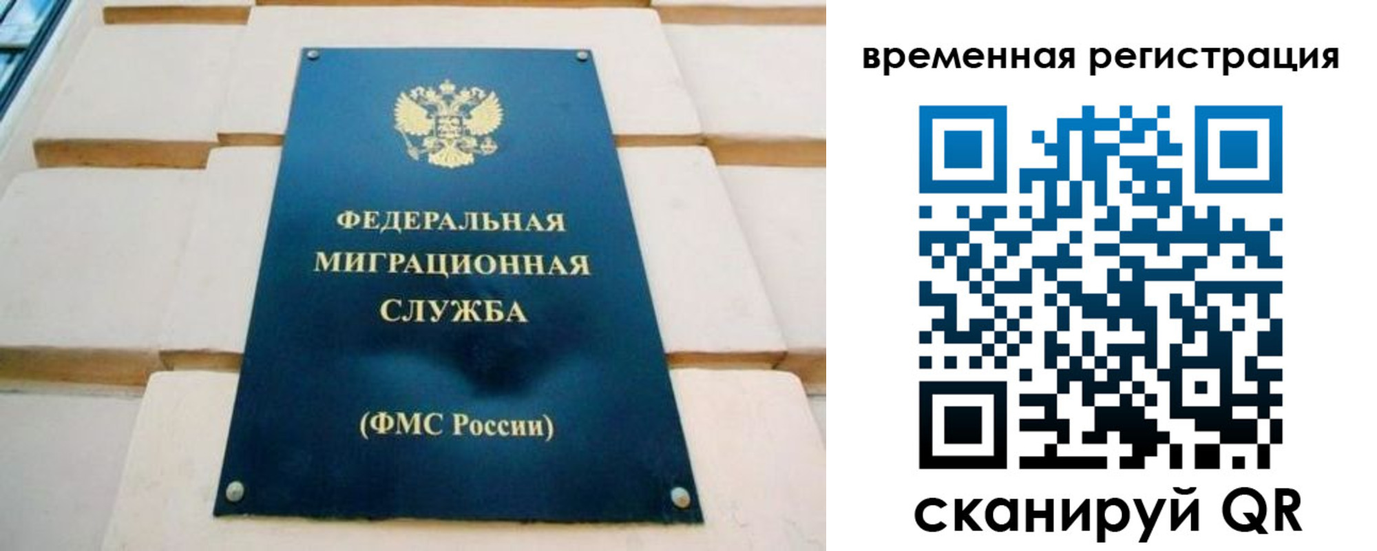 прописка гарантия в Чехове